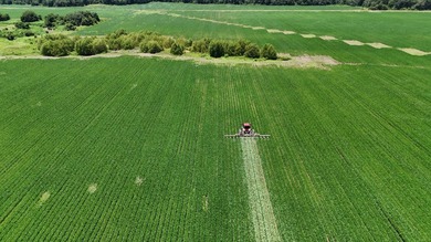 655 acres of production ag land with duck and deer opportunities - photo 14