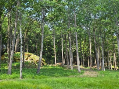 Dreamed of a Family/Friend Compound by the Lake?! - photo 11