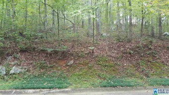 Blue Hole Lake Lot For Sale in Blount Springs Alabama
