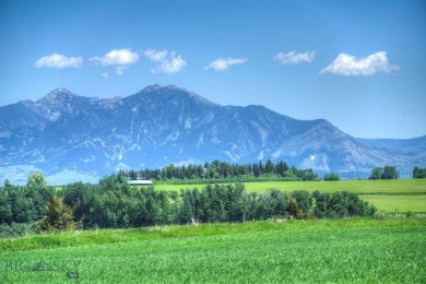  Acreage For Sale in Bozeman Montana