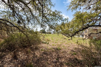 Stunning Views of the lake! Build your dream home on this 1.18 - photo 6