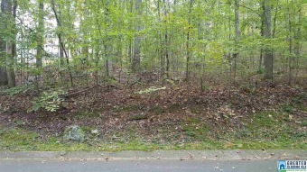 Blue Hole Lake Lot For Sale in Blount Springs Alabama