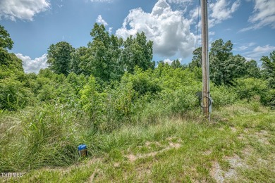 Enjoy 32+/- acres of open pasture and wooded land with - photo 5