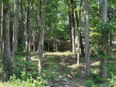 Dreamed of a Family/Friend Compound by the Lake?! - photo 5