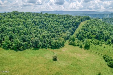 Enjoy 32+/- acres of open pasture and wooded land with - photo 10