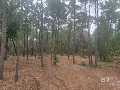 Rare opportunity to own a private, wooded 0.82-acre residential - photo 1
