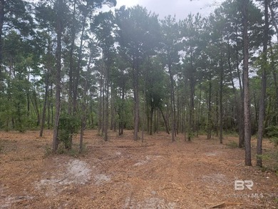 Rare opportunity to own a private, wooded 0.82-acre residential - photo 2