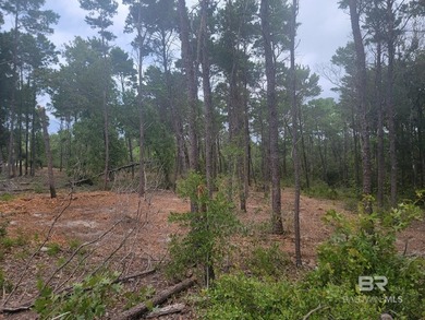 Rare opportunity to own a private, wooded 0.82-acre residential - photo 3