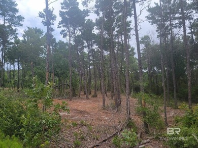 Rare opportunity to own a private, wooded 0.82-acre residential - photo 4