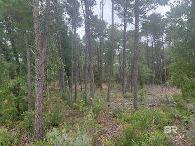 Rare opportunity to own a private, wooded 0.82-acre residential - photo 5