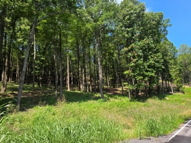 Dreamed of a Family/Friend Compound by the Lake?! - photo 4