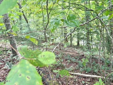 Nestled in the Cherokee National Forest. An abundance of - photo 8