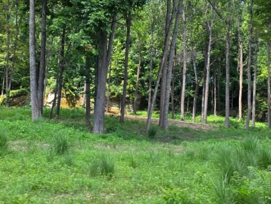 Dreamed of a Family/Friend Compound by the Lake?! - photo 24