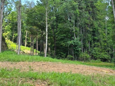 Dreamed of a Family/Friend Compound by the Lake?! - photo 27