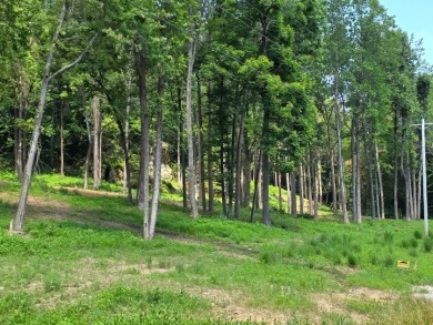 Dreamed of a Family/Friend Compound by the Lake?! - photo 22