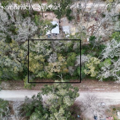 Suwannee River Lot For Sale in Old Town Florida