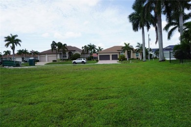 PRIME PGI WATERFRONT LOT WITH CONCRETE SEAWALL AND A SOUTHERN - photo 5