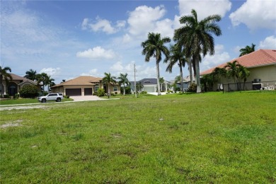 PRIME PGI WATERFRONT LOT WITH CONCRETE SEAWALL AND A SOUTHERN - photo 6