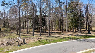 Build your dream home in the desirable waterfront, gated - photo 5