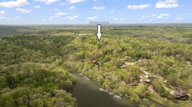 Cabin in Ironwood with Dock - photo 30