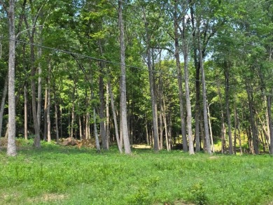 Dreamed of a Family/Friend Compound by the Lake?! - photo 14