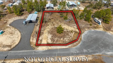 BACK ON THE MARKET - through no fault of the sellers. Don't miss - photo 1
