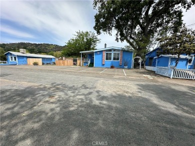 Lake Commercial Sale Pending in Clearlake Oaks, California