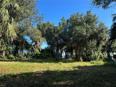 RARE OPPORTUNITY - One of the larger lots completely East of US - photo 3