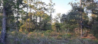 Lake Lot For Sale in Indian Lake Estates, Florida