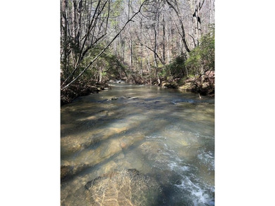 (private lake, pond, coastal) Lot For Sale in Talking Rock Georgia