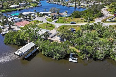 South Branch Manatee River  Home For Sale in Ruskin Florida