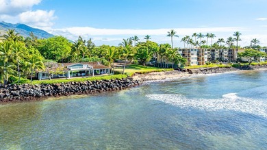 Presenting this rare and private oceanfront estate offering over - photo 43