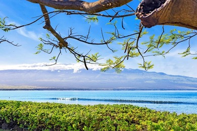 Presenting this rare and private oceanfront estate offering over - photo 44
