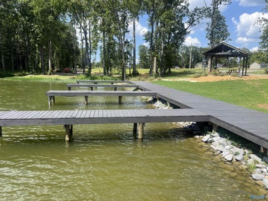 Live the Lake Life-Maintenance Free! Discover Tributaries at - photo 44