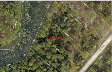 Lake Lot For Sale in Webster, Florida