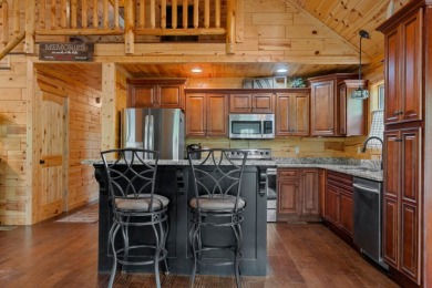 Cabin in Ironwood with Dock - photo 12