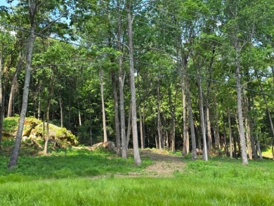 Dreamed of a Family/Friend Compound by the Lake?! - photo 12
