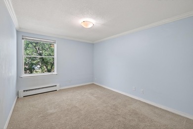 Just blocks from Lake of the Isles, Uptown, and Downtown - photo 14