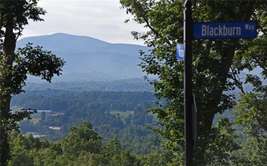Lake Lot For Sale in Blairsville, Georgia