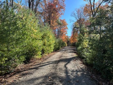 Lake Acreage For Sale in Fancy Gap, Virginia