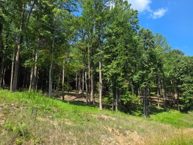 Dreamed of a Family/Friend Compound by the Lake?! - Lake Acreage For Sale in Falls Of Rough, Kentucky