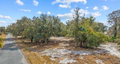 Lake Griffin Lot For Sale in Leesburg Florida