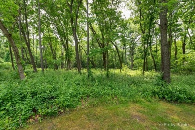 Lake Lot For Sale in Antioch, Illinois