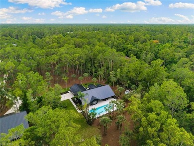 FIVE ACRES of pure Naples freedom where luxury meets - photo 45