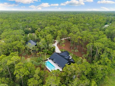 FIVE ACRES of pure Naples freedom where luxury meets - photo 46