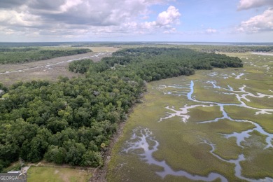 (private lake, pond, coastal) Acreage For Sale in Woodbine Georgia