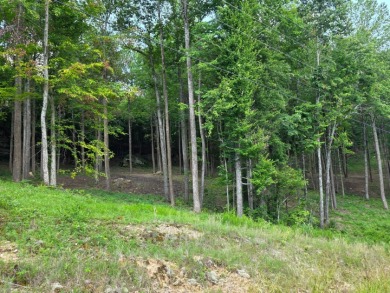 Dreamed of a Family/Friend Compound by the Lake?! - photo 29
