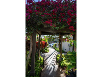 Discover Your Dream Getaway: Unit D208 at Maui Kamaole Nestled - photo 42