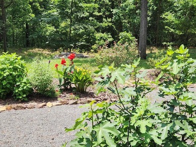 In the heart of Fairfield Bay nestled among the trees for - photo 17
