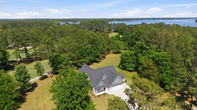Welcome to 401 Grand Harbor Boulevard, the almost new home is - photo 45
